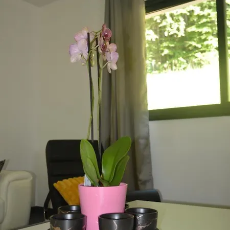 Holiday home Chic Vanilla Home, Maison Moderne Entre Annecy Et Geneve Cruseilles